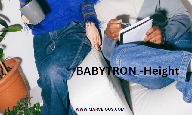 BABYTRON –  AGE, Level, Total assets, Sweetheart, Nationality